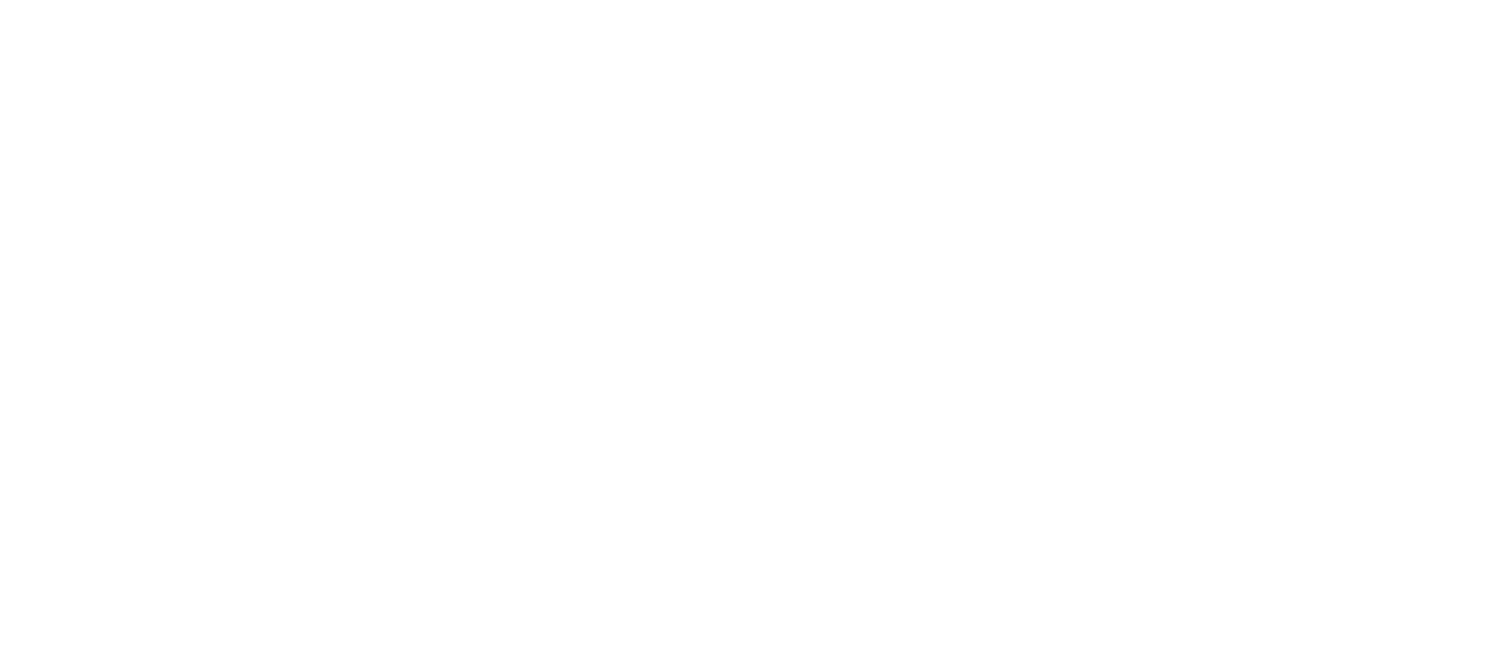 Zyra Interiors